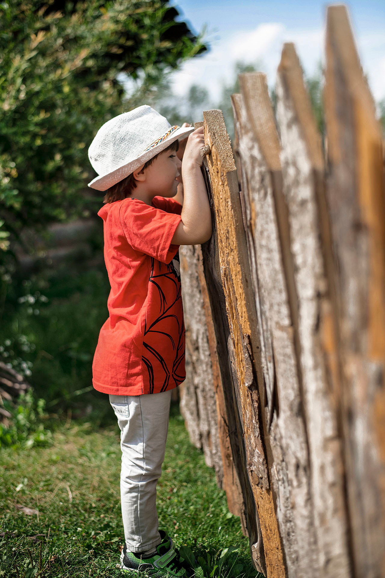 אלבום צבעוני. אנה ביטייב, צלמת, שוהם, Anna Bityaev Photography