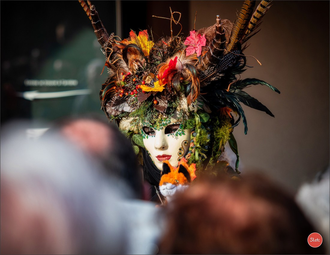 Carnaval vénitien de Rosheim 2026. Photographe à Strasbourg | Portraits, Studio, Enfants, Événements