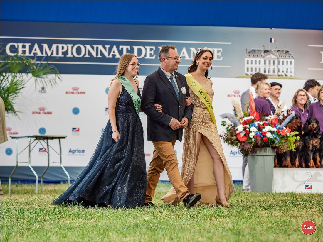 Championnat de France du chien de race  🇫🇷  DIJON (château de Brognon) 7-8/06/2025. Photographe à Strasbourg | Portraits, Studio, Enfants, Événements