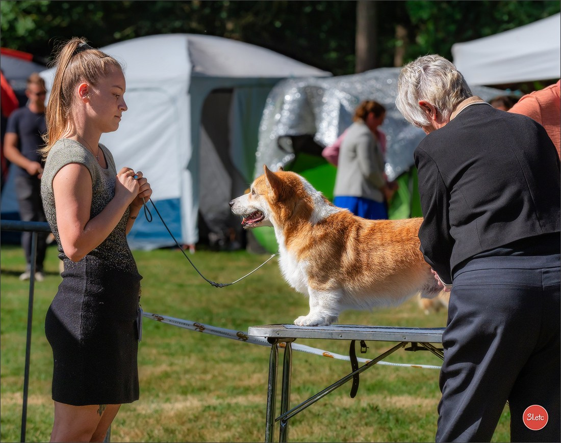 🇫🇷 Romorantin - Exposition Canine Nationale. Photographe à Strasbourg | Portraits, Studio, Enfants, Événements