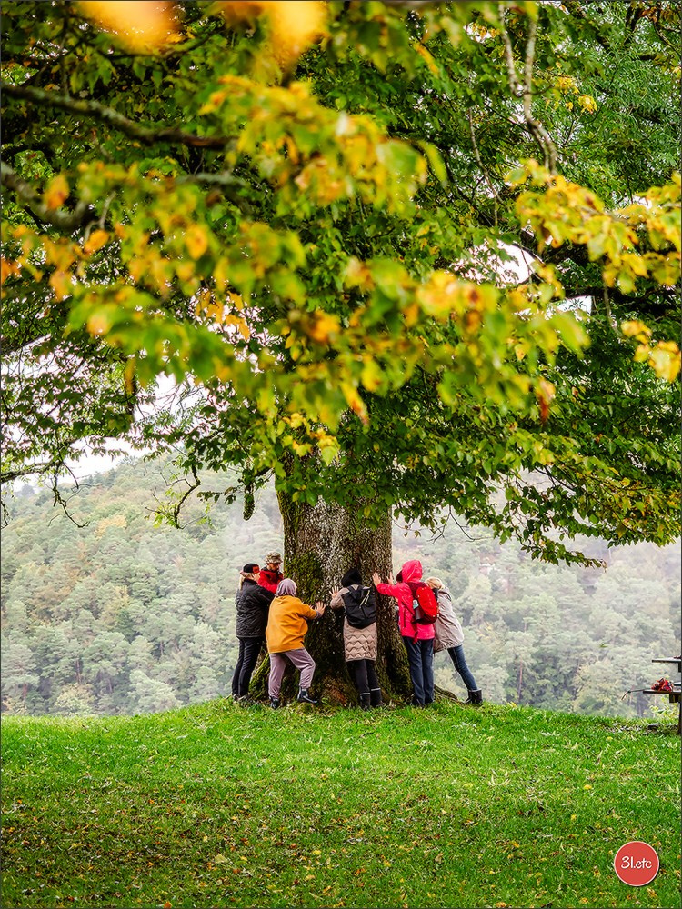 Ретрит в Эльзасе с Марией Ланг. Photographe à Strasbourg | Portraits, Studio, Enfants, Événements