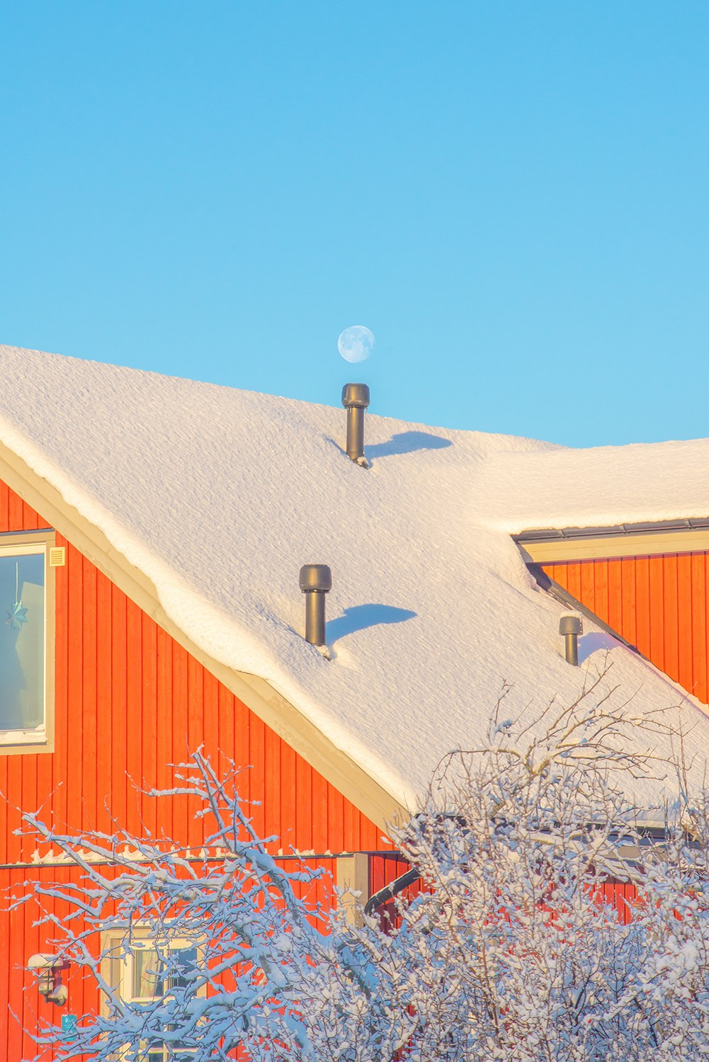 Moonight Morning anna biletska artphoto fineart