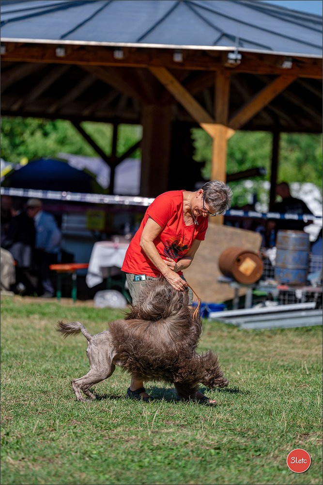 Dog Show - Hallbergmoos 🇩🇪 11-12/07/2026