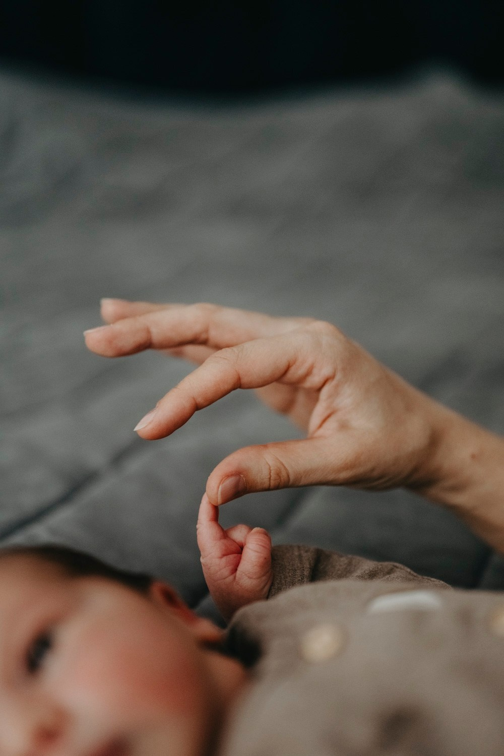 Danijala, Darko, Mijat i Marko porodicno fotografisanje. Deciji i porodicni fotograf u Beogradu Oksana Skendzic