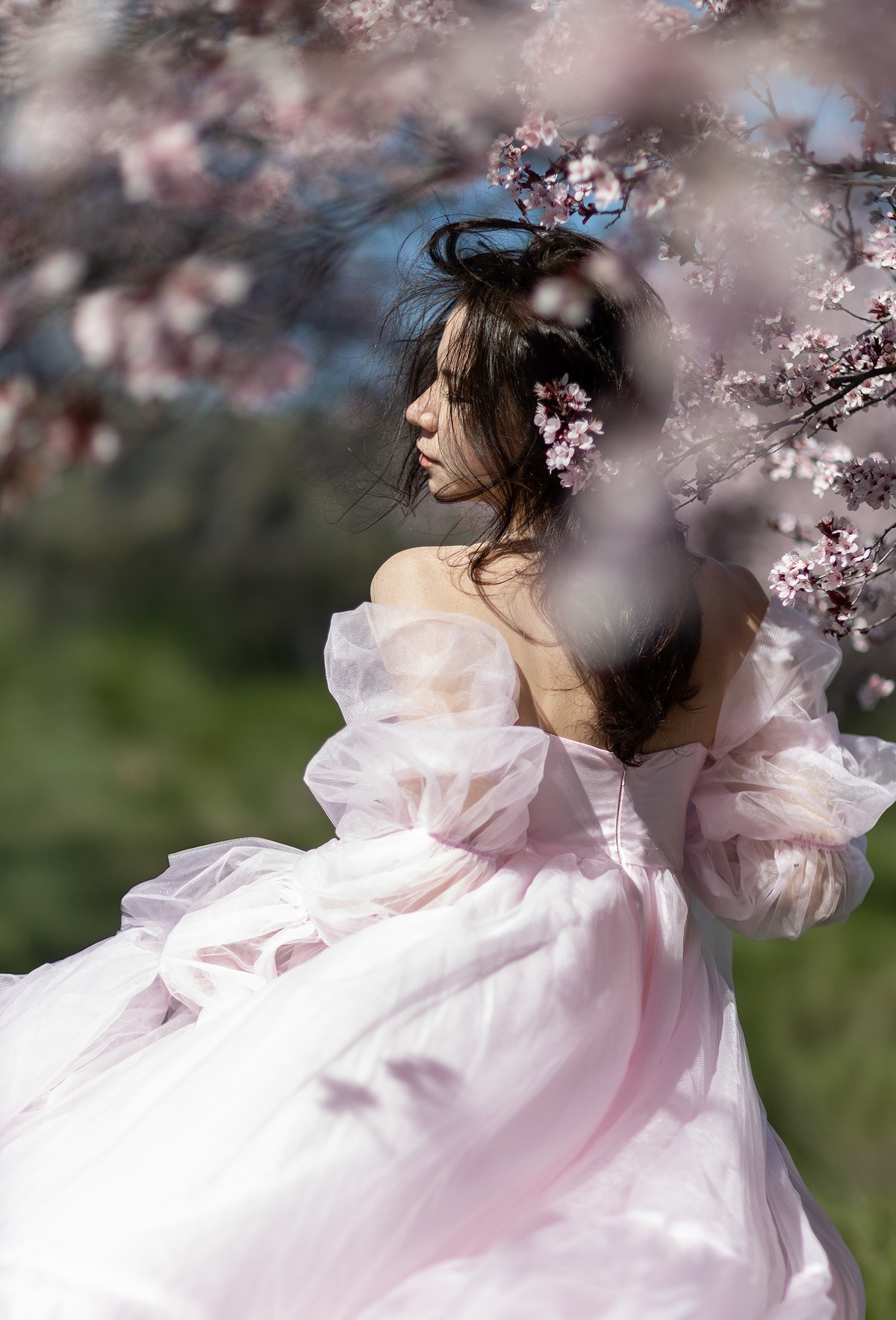 Individual photoshoot. Family photographer in Bay Area, California