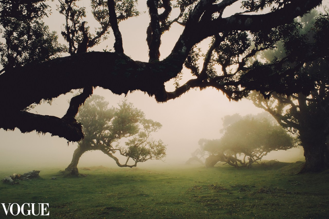 AWARDS. Yana Bobrova | Artistic Photography