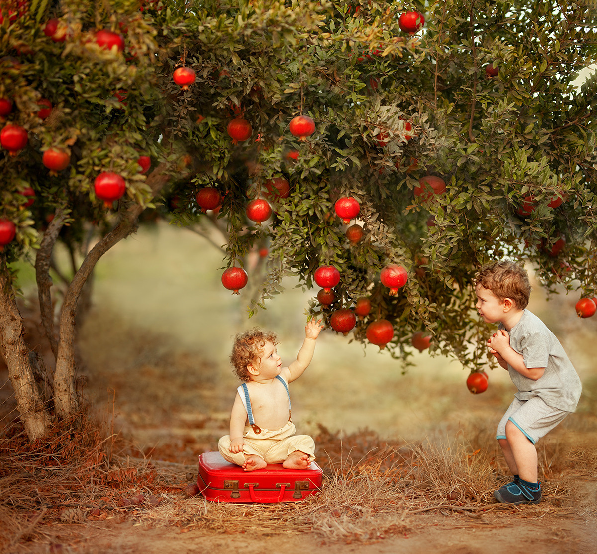 Children Photography. Professional photographer Serbia