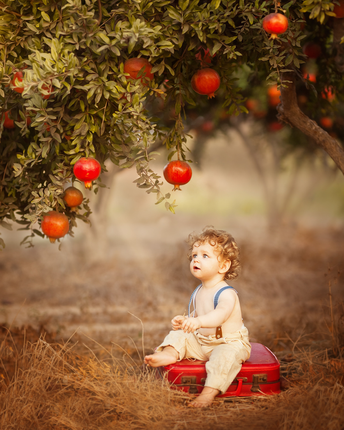 Children Photography. Professional photographer Serbia