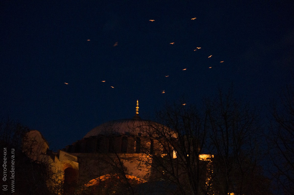 Стамбул, Турция. Анна Леденева Фотограф