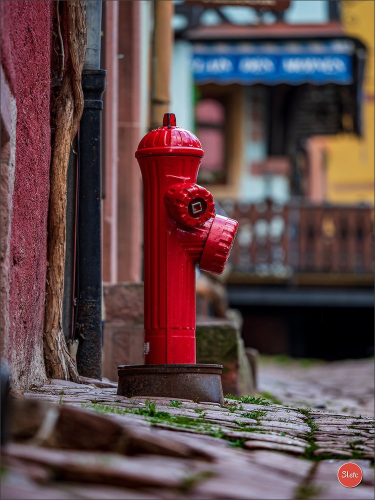 Mont Sainte Odile and Riquewihr. Photographe à Strasbourg | Portraits, Studio, Enfants, Événements