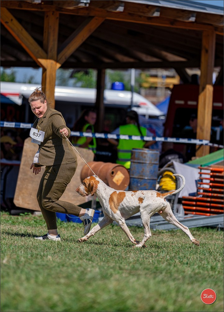Dog Show - Hallbergmoos 🇩🇪 11-12/07/2026