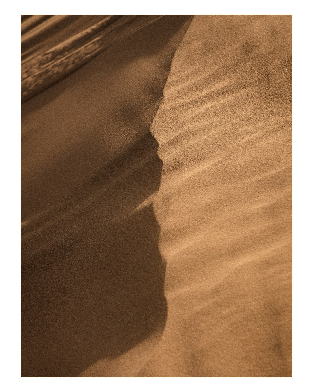 Art prints. Anka Fateeva Website