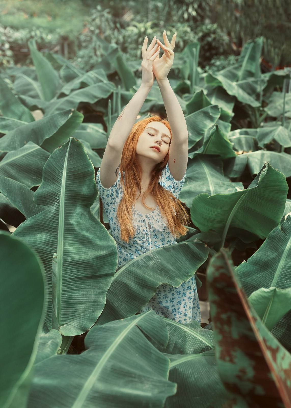 Aesthetic Portraits. The-yan.com