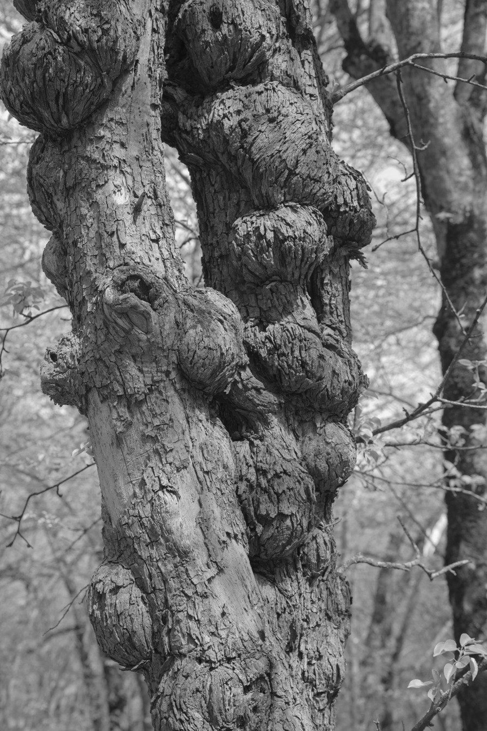 All I was told. Документальный и репортажный фотограф Айгуль Михайлова