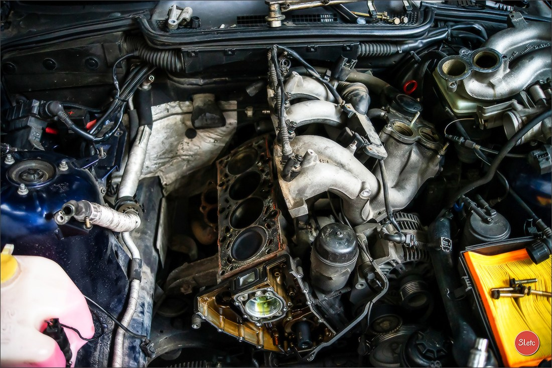 Claptraps. Photographe à Strasbourg | Portraits, Studio, Enfants, Événements