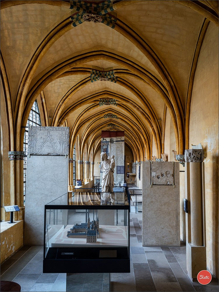 Margny-lès-Compiègne. Photographe à Strasbourg | Portraits, Studio, Enfants, Événements