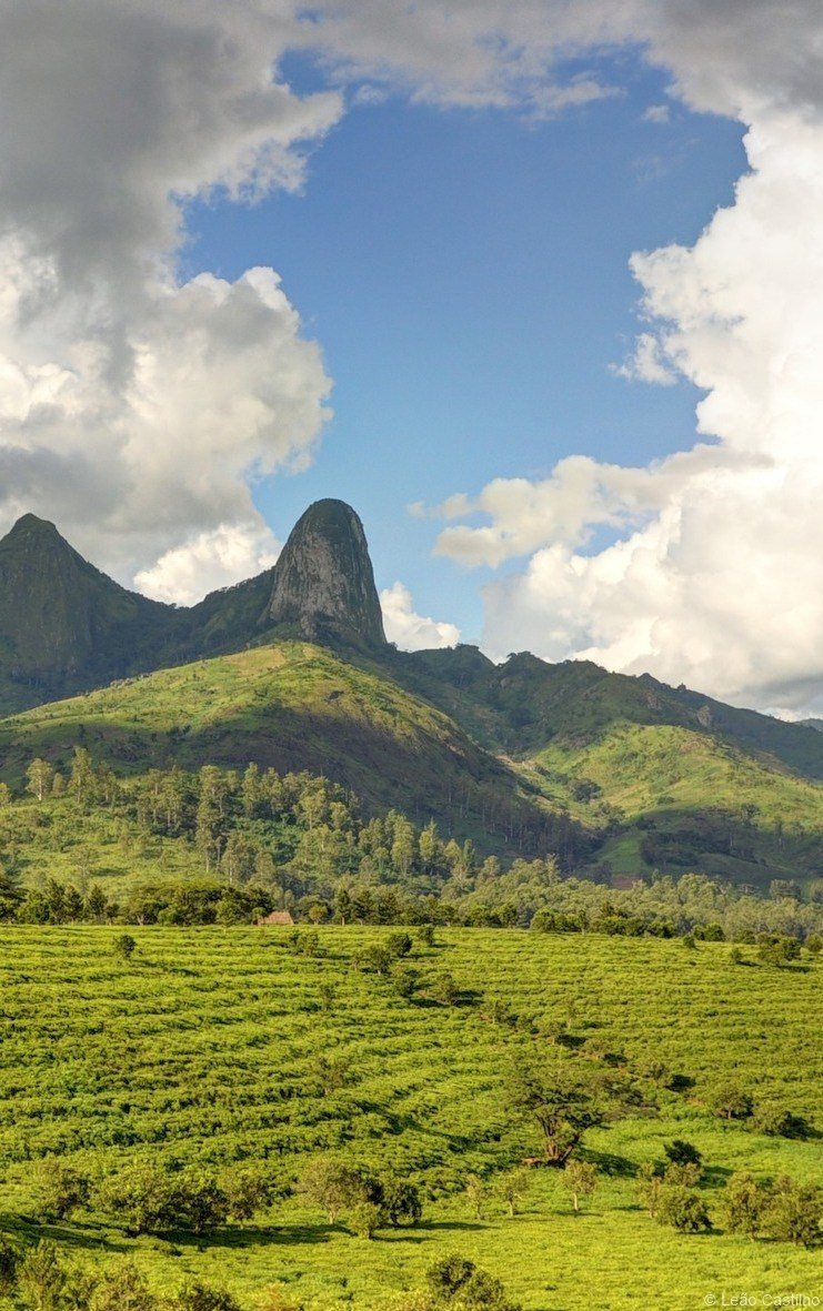 Photos from Mozambique. Simbahalu