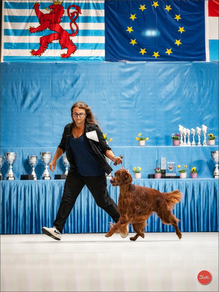 🇱🇺 LUXEMBOURG 🇱🇺 International Dog Show 🇱🇺 30/08 - 31/08/2025. Photographe à Strasbourg | Portraits, Studio, Enfants, Événements