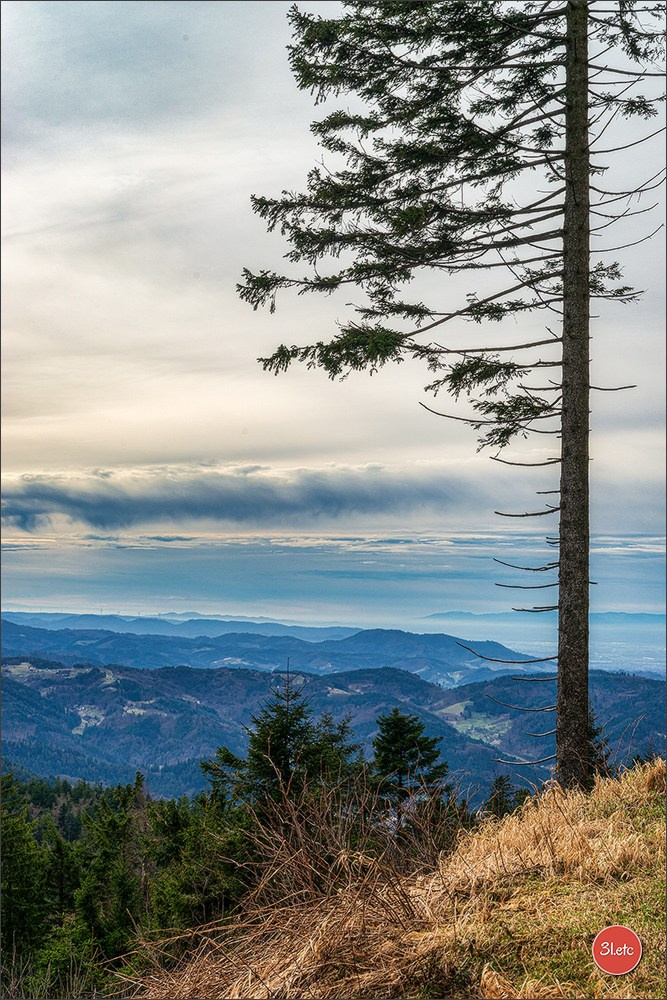 Randonnée en Forêt-Noire. Photographe à Strasbourg | Portraits, Studio, Enfants, Événements