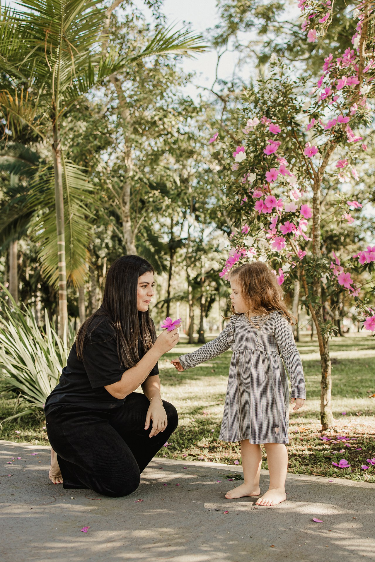 Ensaio Família. Fotógrafa de gestante, família, materno-infantil e marca pessoal, em Joinville. Estúdio de fotografia em Joinville