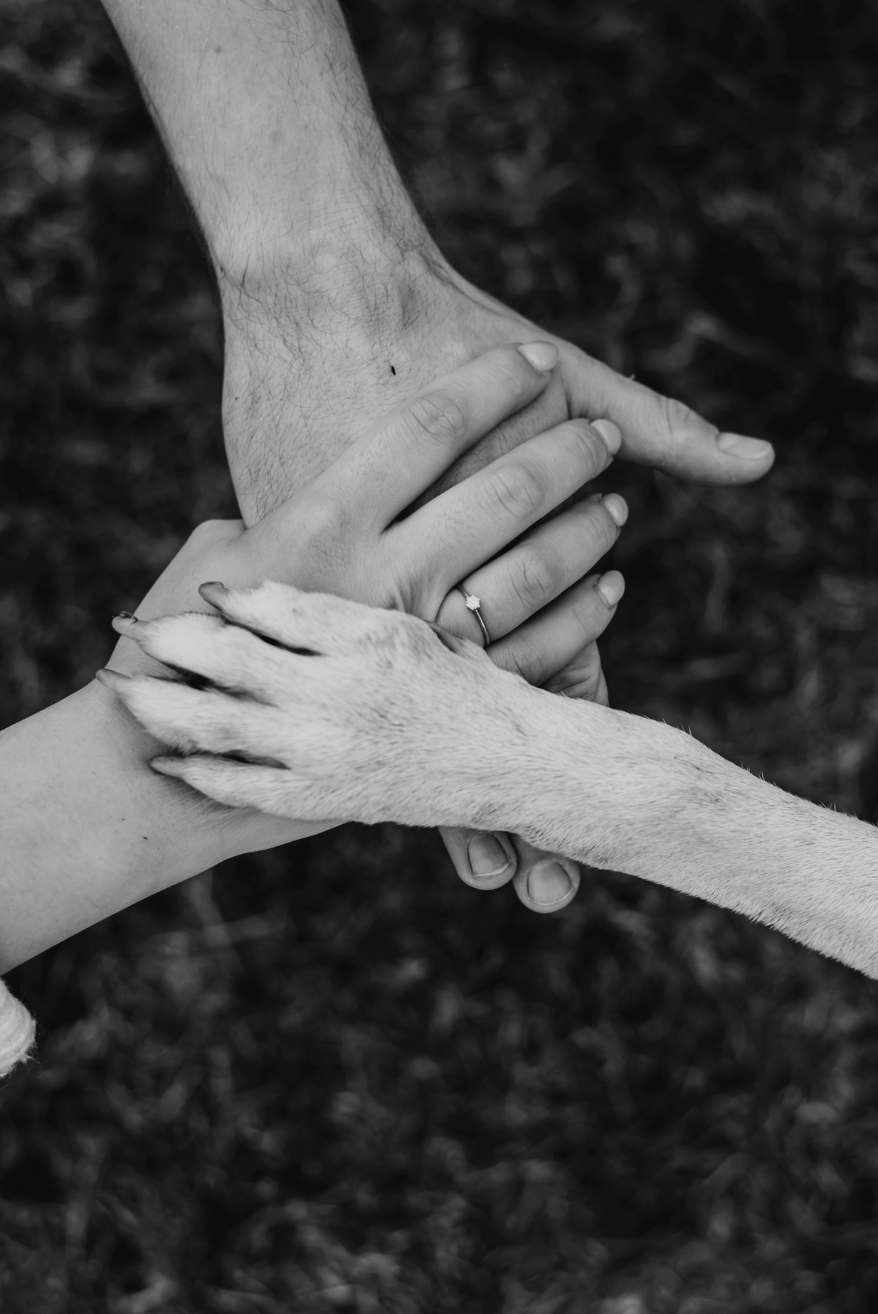 Weronika i Kamil. Dominika Strachacka Fotografia | Fotograf ślubny i rodzinny Opole Lubelskie Lublin