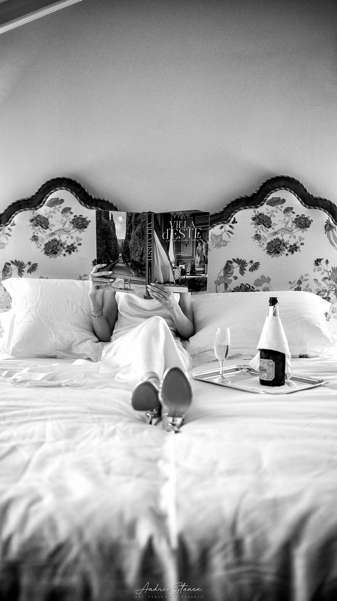 Portofolio. Andrei Stanea