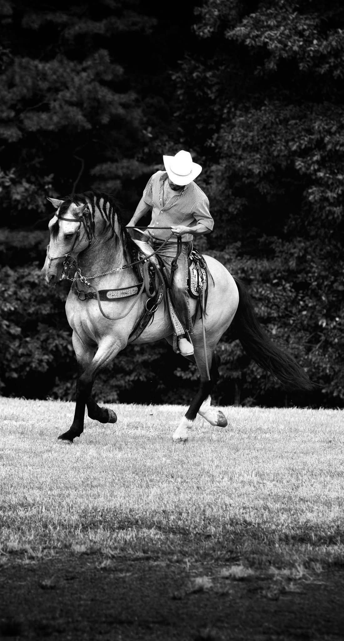 Black and white. Nick With The Pic Media Co