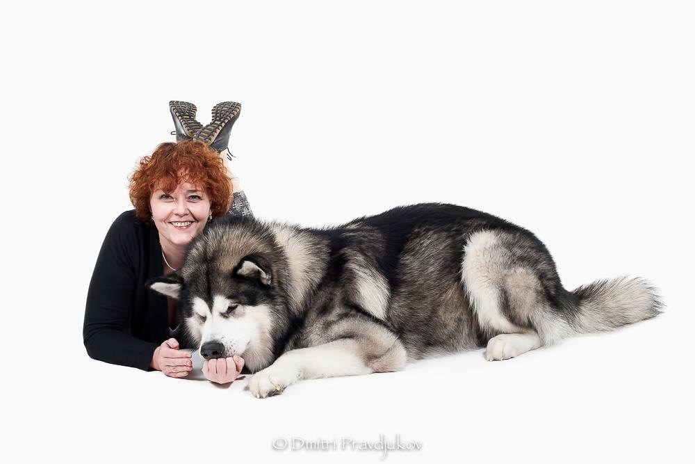 LEMMIKLOOMADE PILDISTAMINE