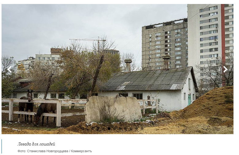 Публикации. Stanislava Novgorodtseva — Photographer | Visual Artist | Educator