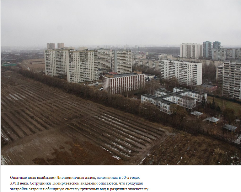 Публикации. Stanislava Novgorodtseva — Photographer | Visual Artist | Educator