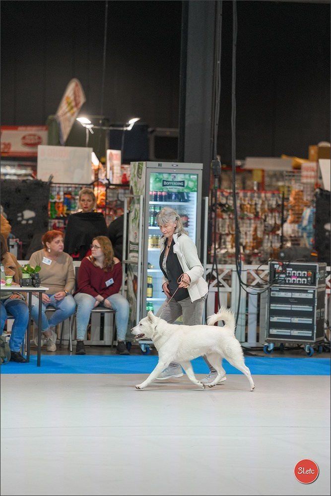 🇱🇺 LUXEMBOURG 🇱🇺 International Dog Show 4-5/04/2026. Photographe à Strasbourg | Portraits, Studio, Enfants, Événements