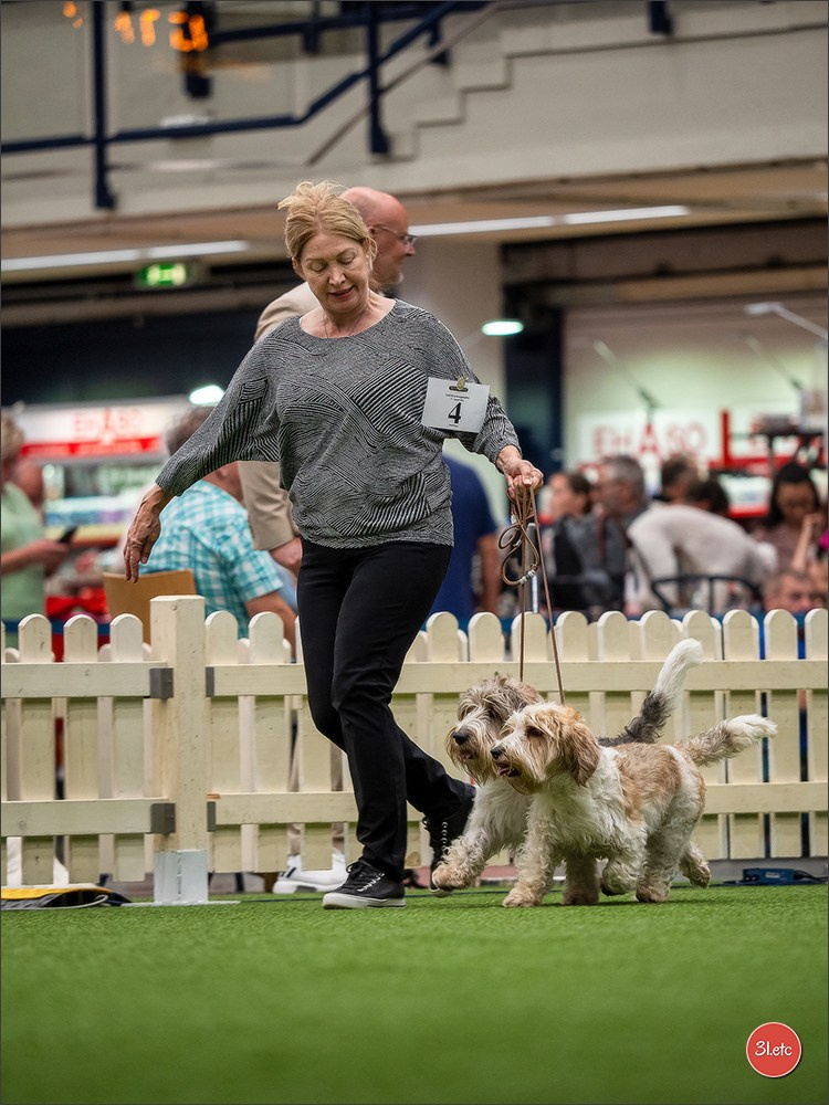 Dog Show Ludwigshafen  🇩🇪  16-17/08/2025. Photographe à Strasbourg | Portraits, Studio, Enfants, Événements