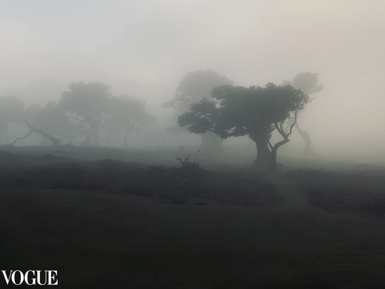 AWARDS. Yana Bobrova | Artistic Photography