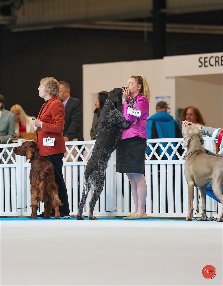 🇱🇺 LUXEMBOURG 🇱🇺 International Dog Show 4-5/04/2026. Photographe à Strasbourg | Portraits, Studio, Enfants, Événements