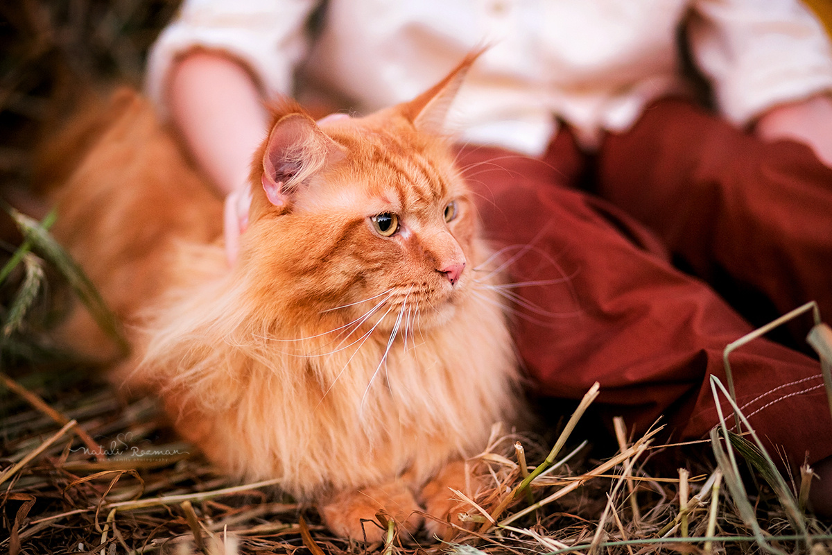 Детки. Наталья Розман детский и семейные фотограф в Израиле, Ашкелон