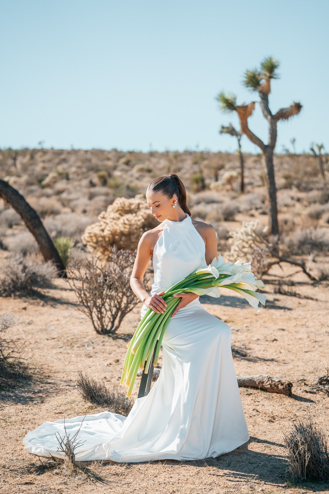 Joshua Tree Wedding 2026. Wedding Photographer in Los Angeles