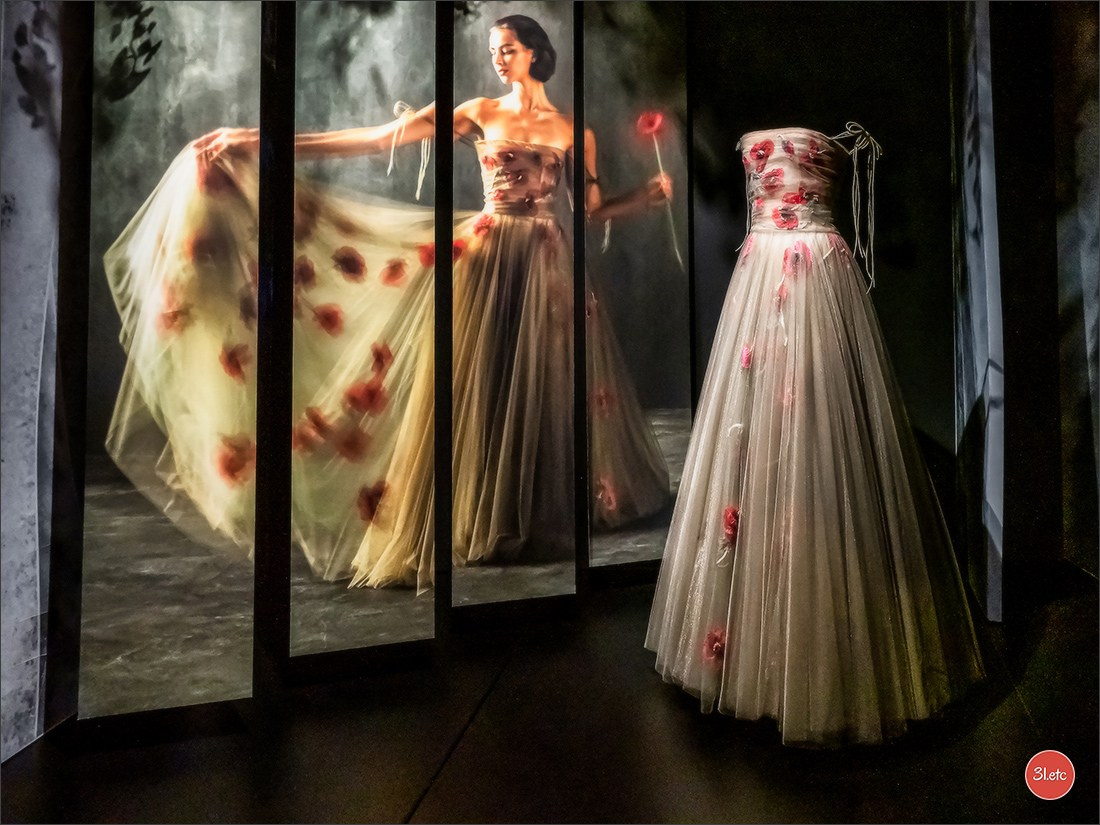 Musée Dior à Paris. Photographe à Strasbourg | Portraits, Studio, Enfants, Événements