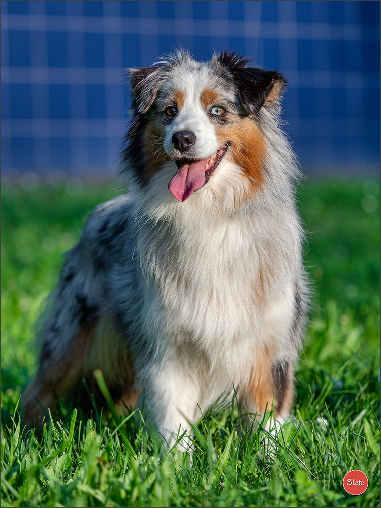 Domaine de la patte blanche. Photographe à Strasbourg | Portraits, Studio, Enfants, Événements