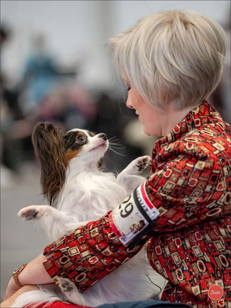 Photographie animalière. Photographe à Strasbourg | Portraits, Studio, Enfants, Événements