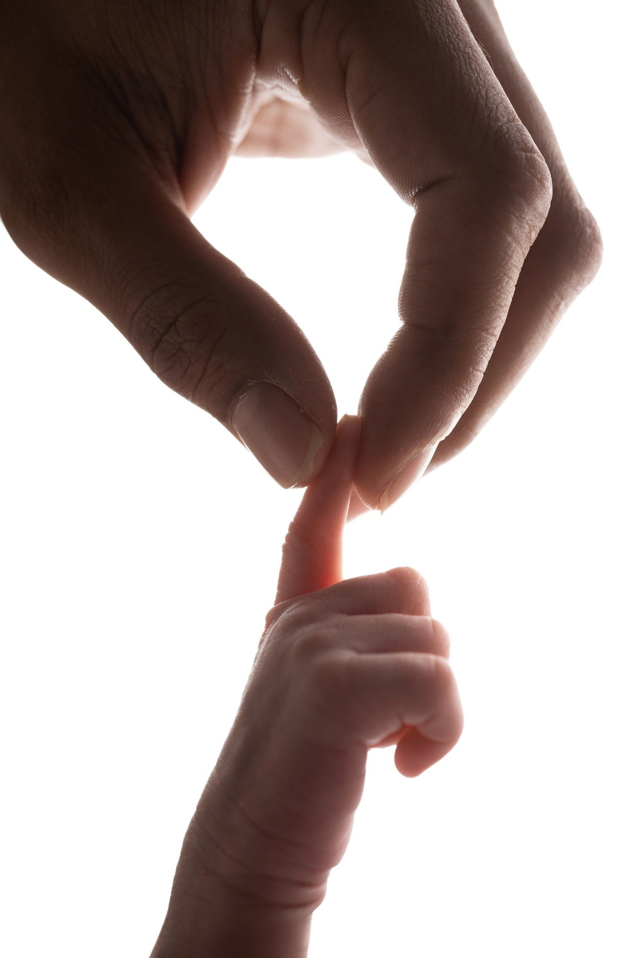 Newborn Photography — Capturing Your Baby’s First Precious Moments. Julia Bolgov Photography | Newborn, Family, Maternity & Milestone Photographer in Bay Area, CA