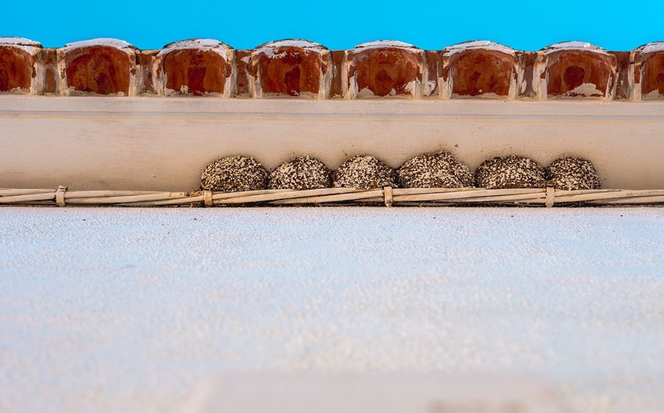 Bocetos. Alba del Norte Studio