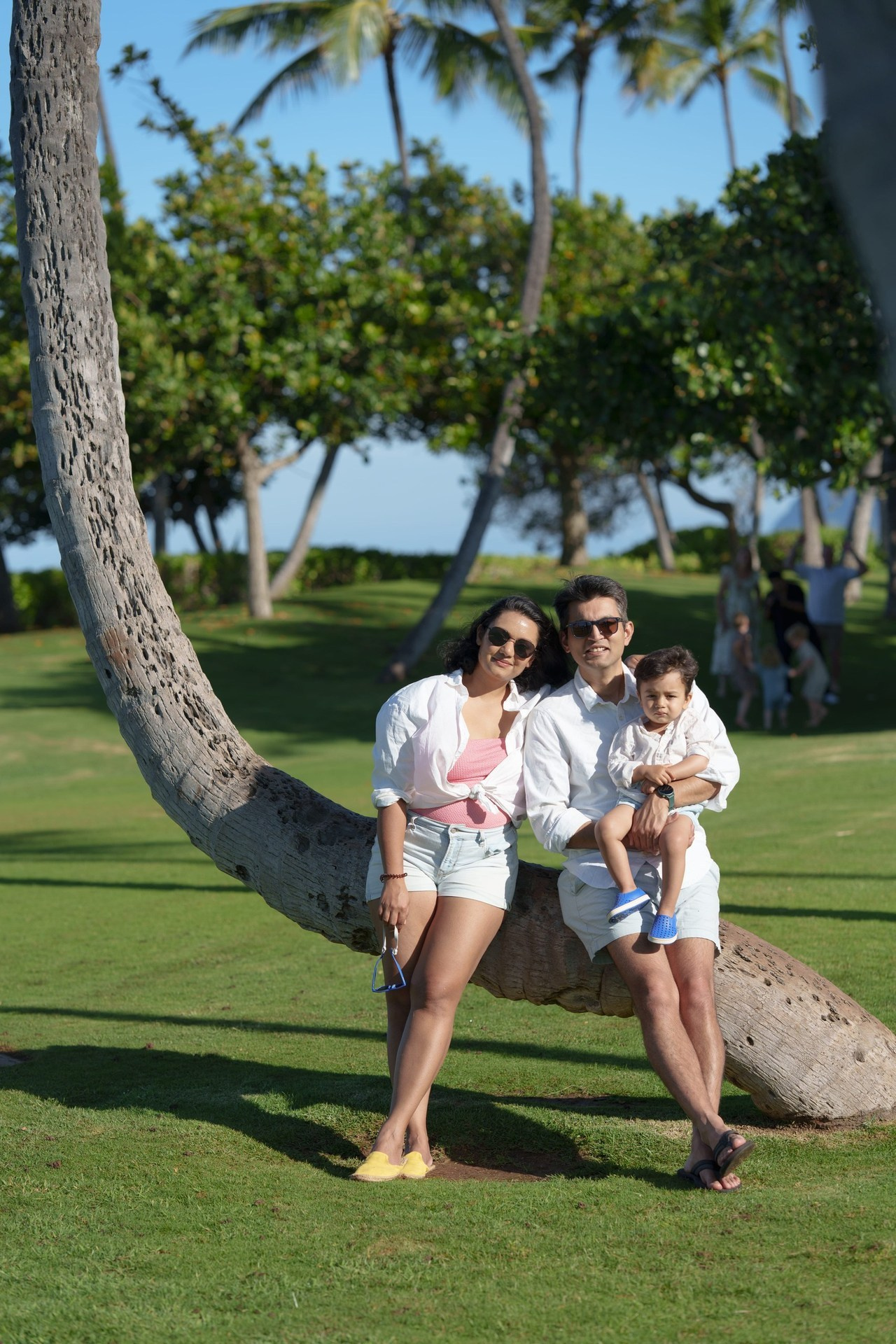 Reviews. IVAN ARISTOV WEDDING PHOTOGRAPHY — Oahu Wedding Photographer