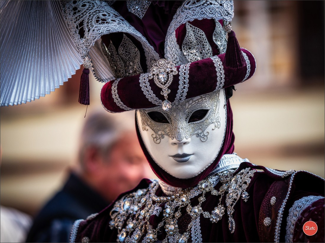 Carnaval vénitien de Rosheim 2026. Photographe à Strasbourg | Portraits, Studio, Enfants, Événements