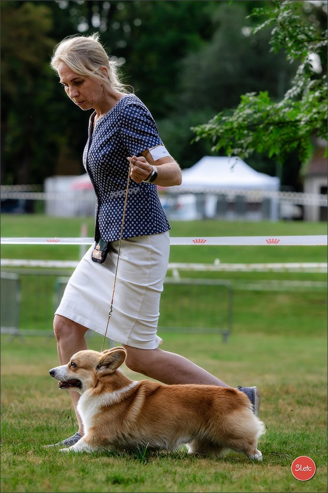 🇫🇷 Romorantin - Exposition Canine Nationale. Photographe à Strasbourg | Portraits, Studio, Enfants, Événements