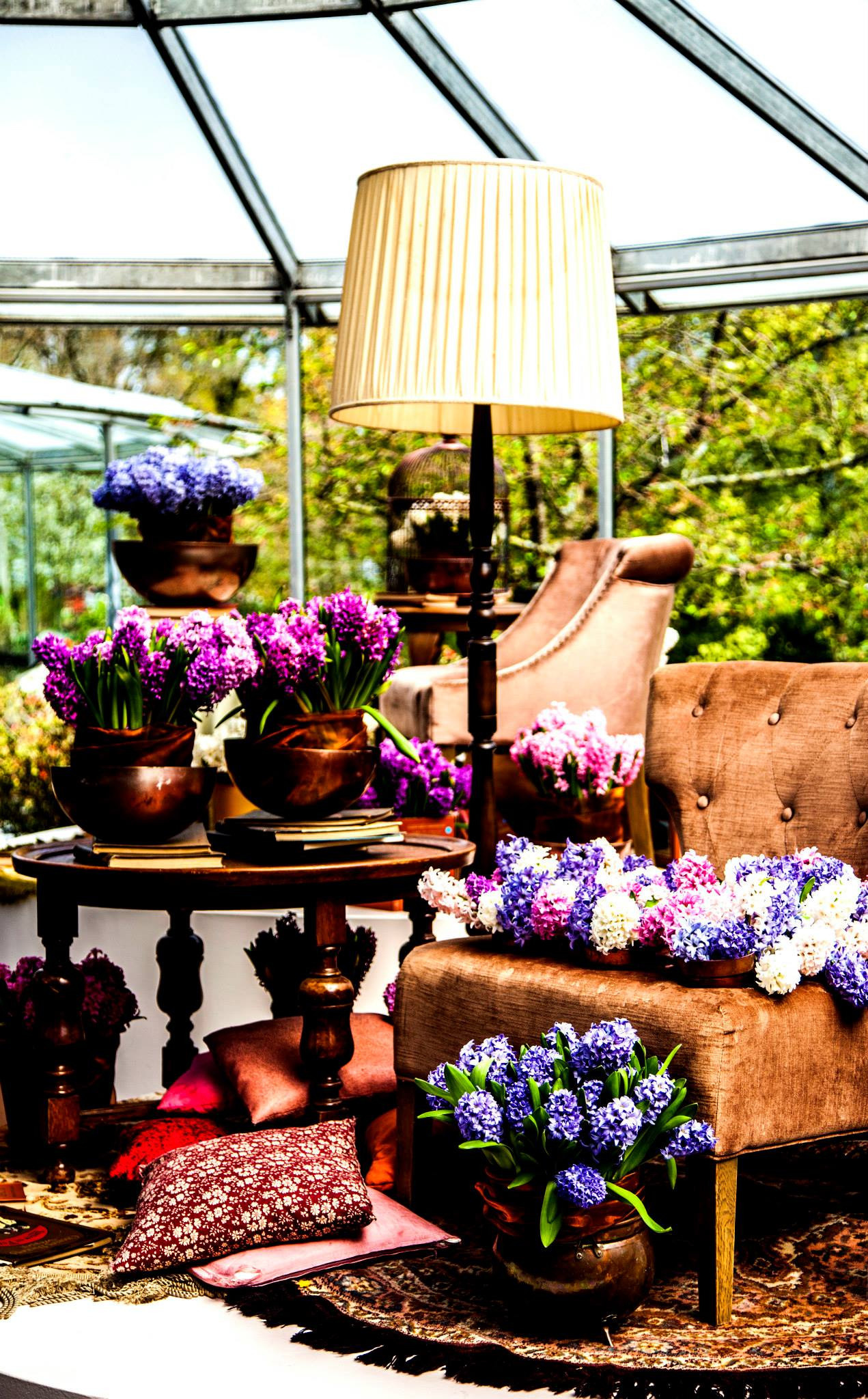 12.Keukenhof — 8 000 000…. Путешествия в формате 360......