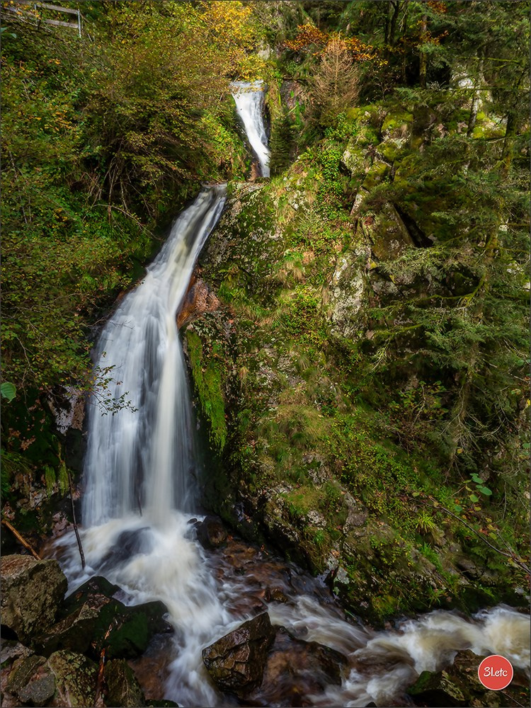 Ретрит в Эльзасе с Марией Ланг. Photographe à Strasbourg | Portraits, Studio, Enfants, Événements
