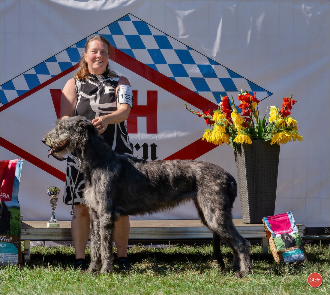 Dog Show - Hallbergmoos 🇩🇪 11-12/07/2026