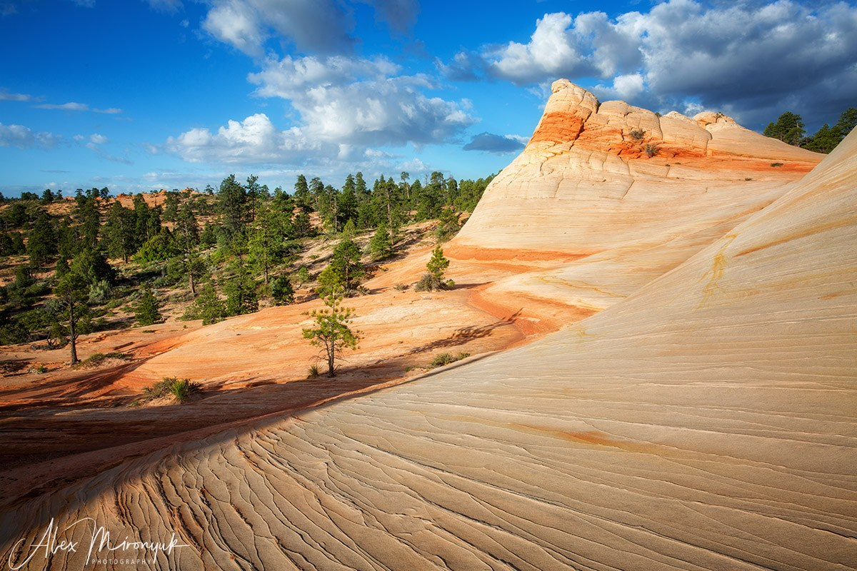 New Year In Utah. Pet, Senior, Landscape, portrait studio, photographer in Miami and Sou