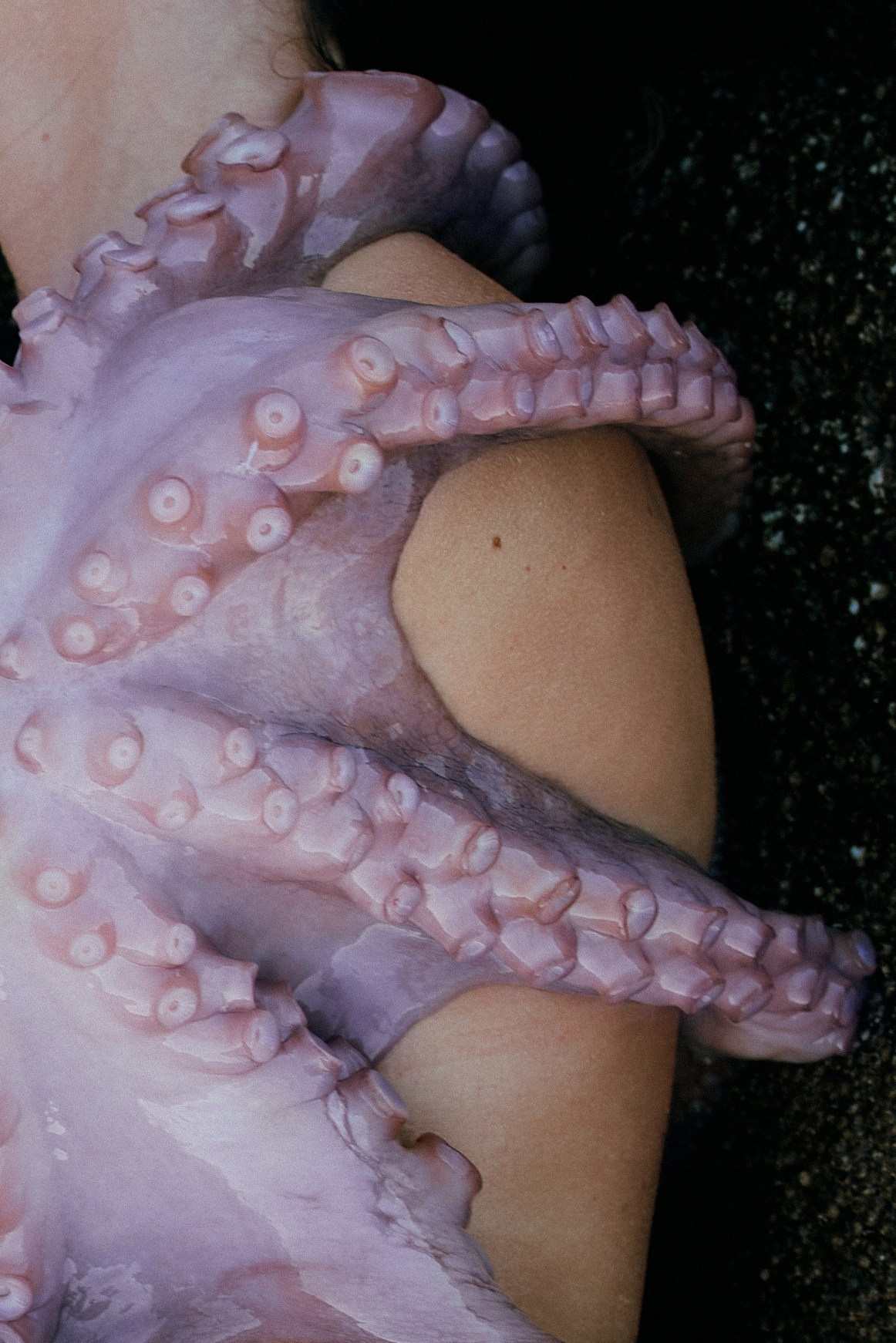 Pulpo. Фотограф в Барселоне Жанна Захарченко