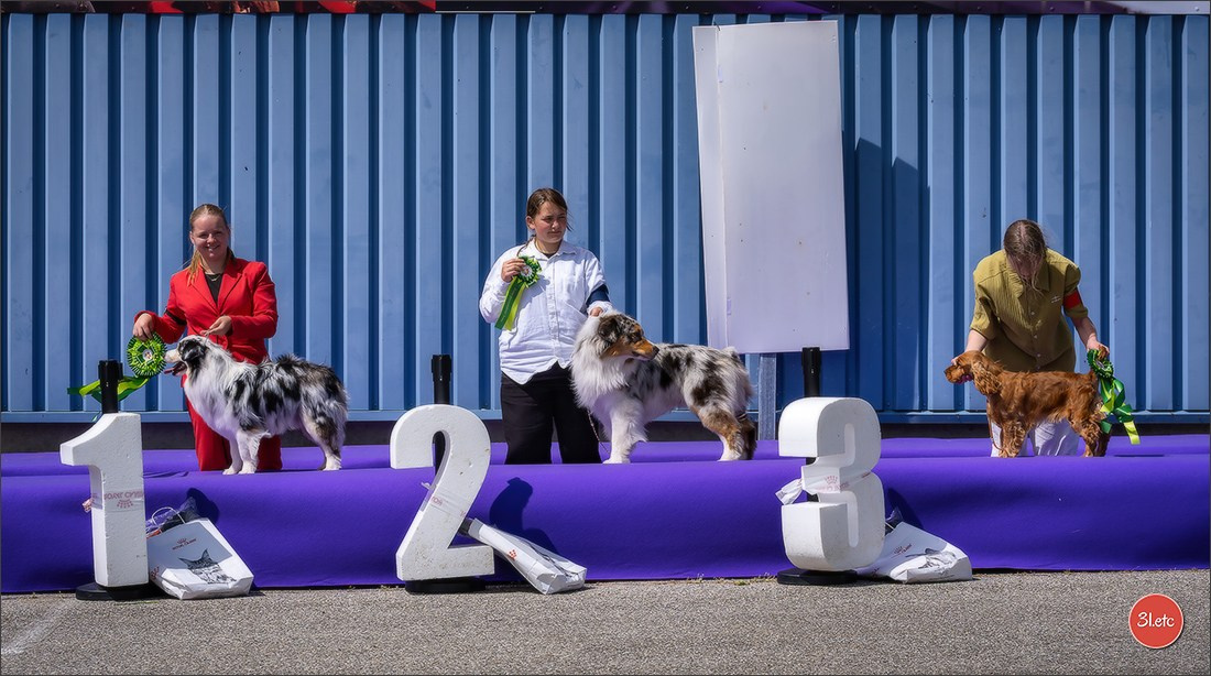 Expo canine 🇫🇷 Valence 02-03/05/2026